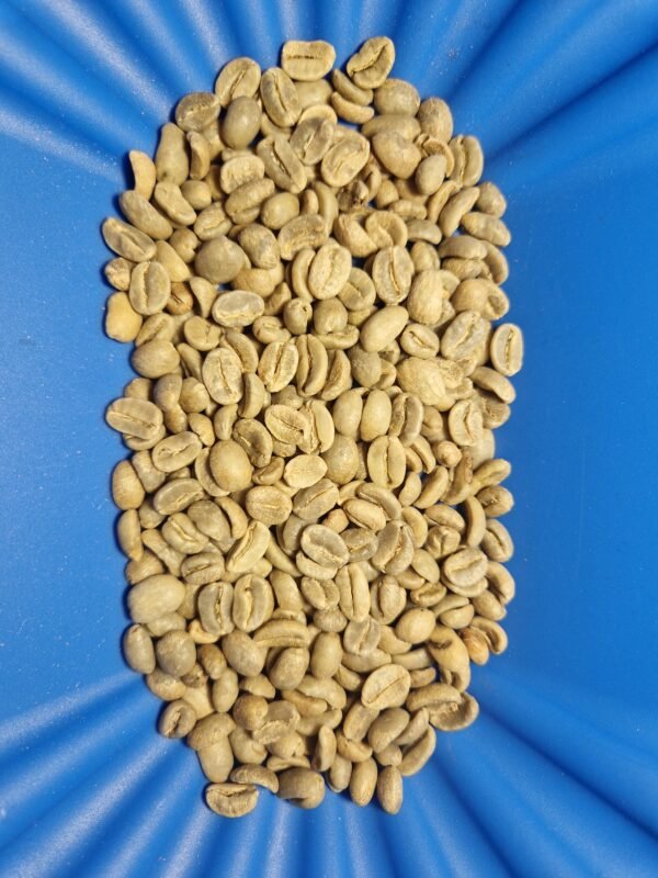 Café vert Colombie - Huila