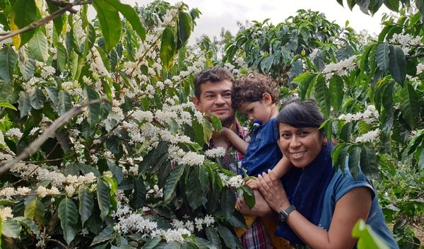 Café Capucas – Grand cru bio et équitable du Honduras, variétés Bourbon rouge et Catuaï