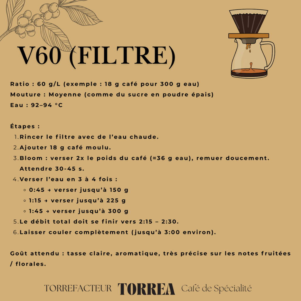 Préparation du café V60 – méthode filtre pour révéler les arômes du café de spécialité