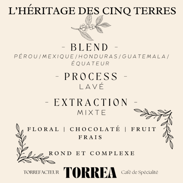 Un blend premium réunissant cinq origines d’exception pour une tasse équilibrée, chocolatée, fruitée et raffinée. Signature artisanale Torrea.